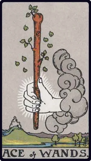 Ace of Wands tarot card