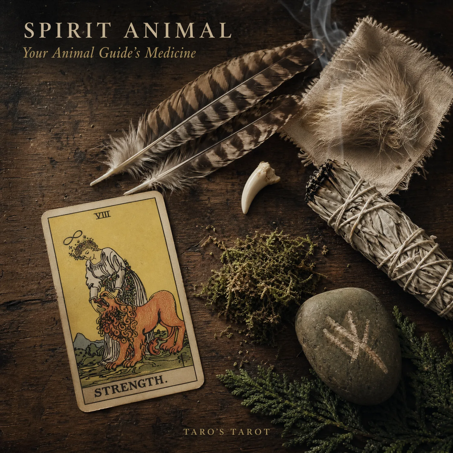 Spirit Animal Report